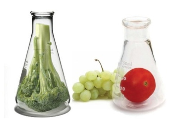 QUÍMICA DE ALIMENTOS, DOCENCIA