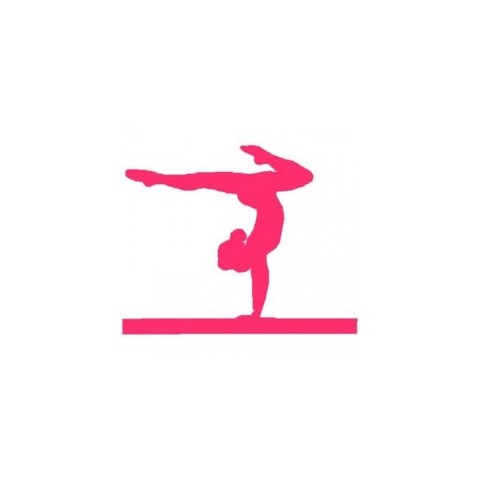 I started gymnastics