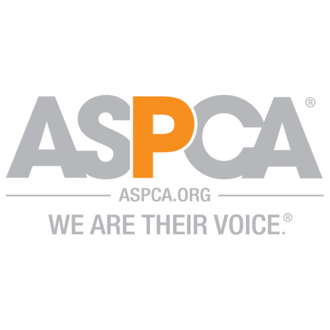 ASPCA is found by Henry Bergh