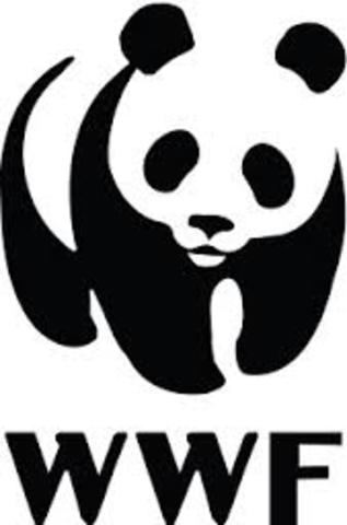 wwf