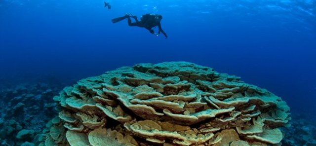 Held the worlds first scientific  symposia