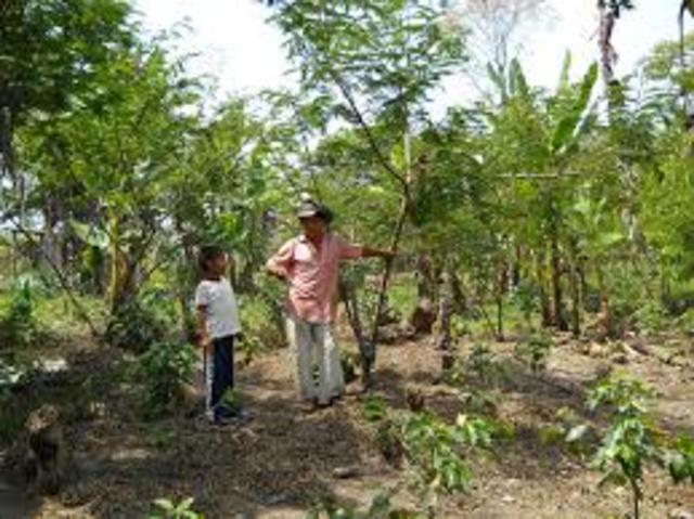 When Dave joined agriculture