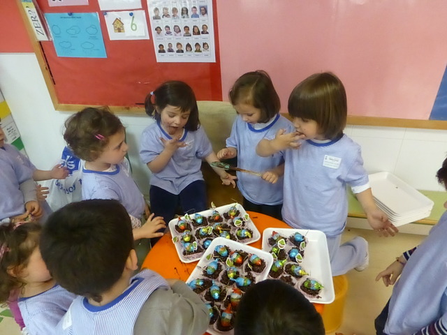 Implantación modelo multilingüe