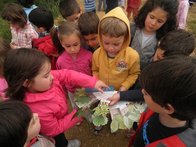 Implantación del modelo lingüístico B