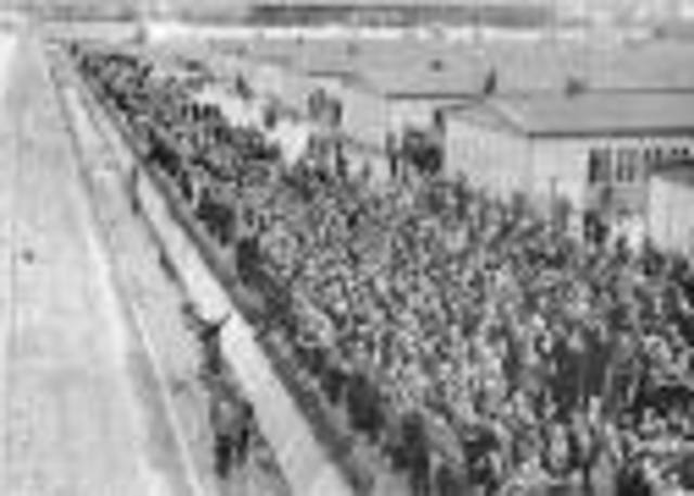 Liberation of concentration camps