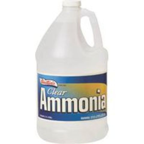 Drinking Ammonia