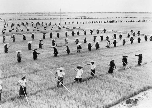 The Great leap forward of 1958