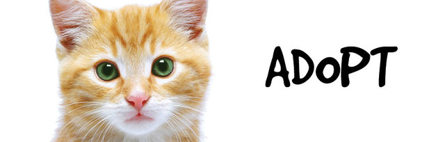 Campaigns against Euthenasia