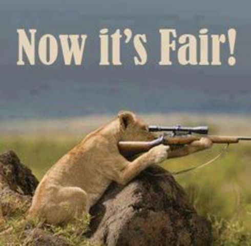 California under Suspicion