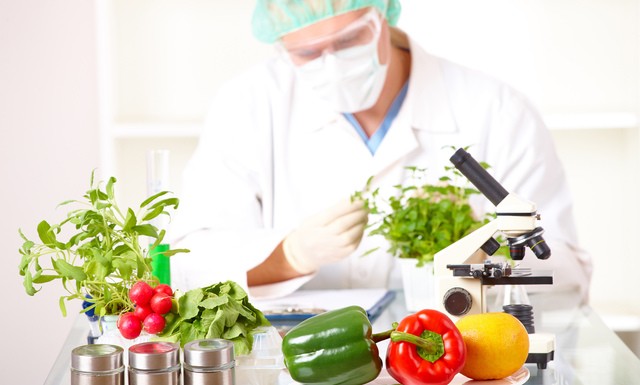 Ciencia y Tecnología de los Alimentos