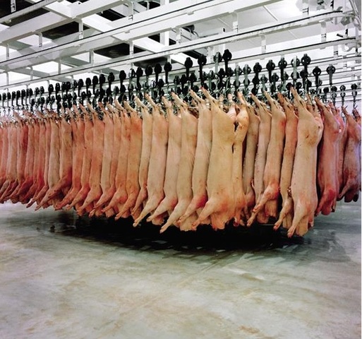 Humane Methods of Slaughter Act