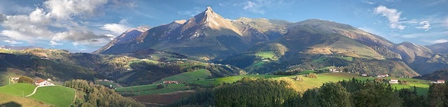 Toki horretako erliebea zein den aztertuko dugu eta Padletean gehitu argazki batekin.