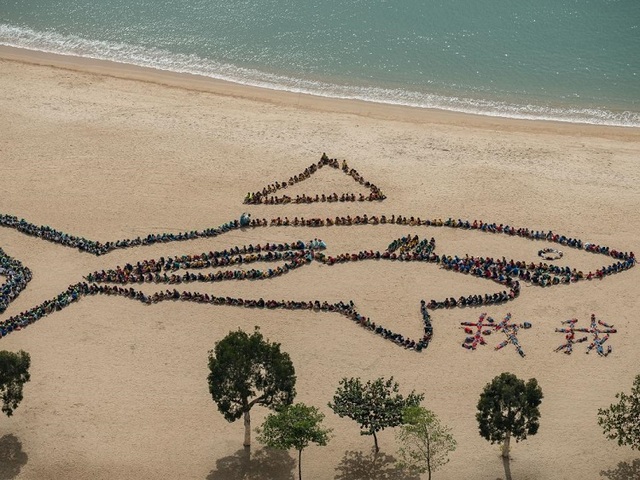 Shark Conservation Act