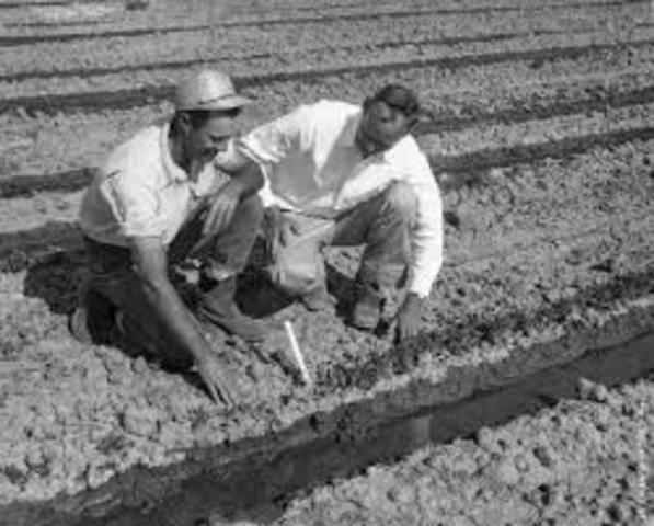 Soil Conservation and Domestic Allotment Act