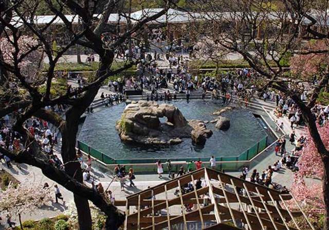 Central Park Zoo opens