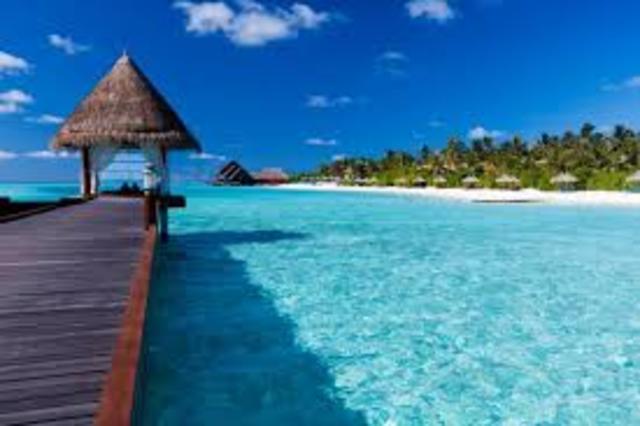 Take a family vaction