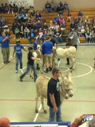 Donkey Basketball game with friends.