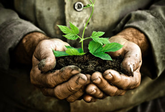 Inicio de Preocupación Ambiental (1945-1968)