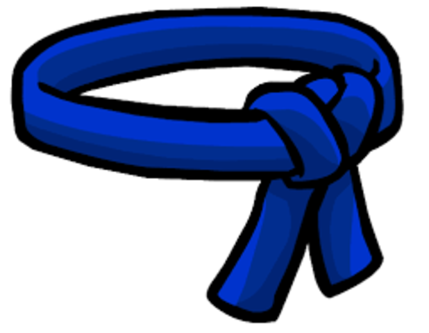 When I got my Blue belt