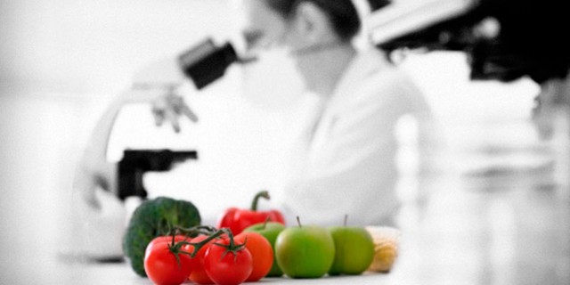 La microbiología de los alimentos