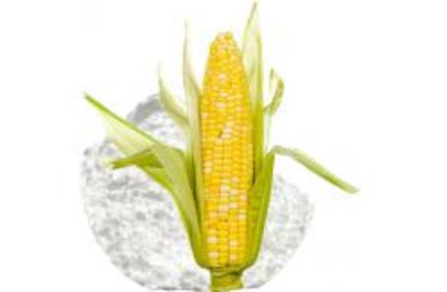 la segunda mitad del siglo XX