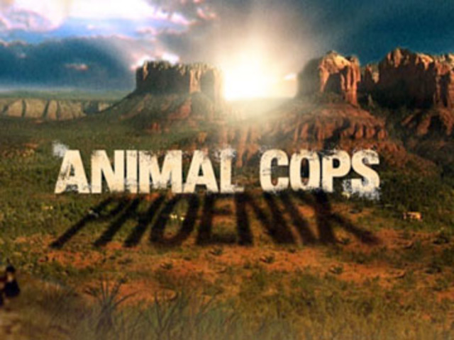 Animal Planet Heroes: Phoenix preimered