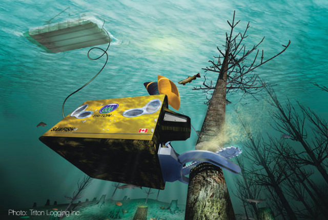 Expanding Forestry Certification