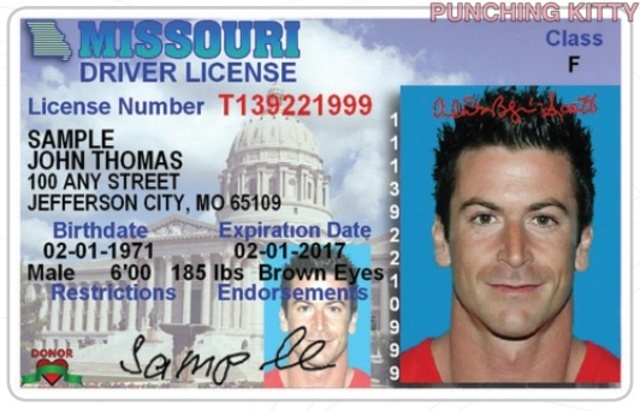 Driver's License