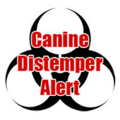 AHS released a valley-wide health alert