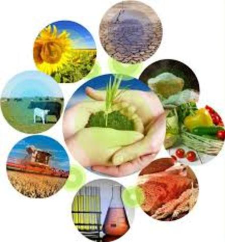 Conferencia sobre la conservación y utilizacion de los recursos naturales