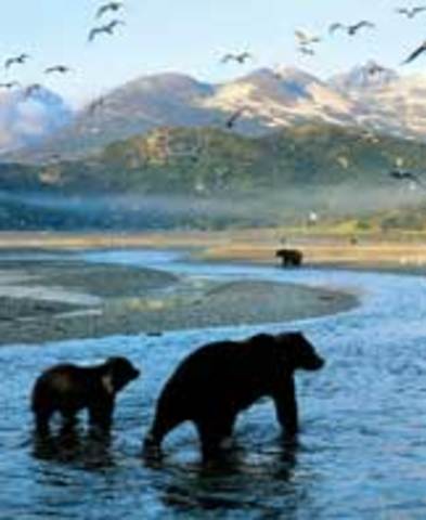 Alaskan Wilderness