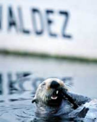 Water pollution Settlement