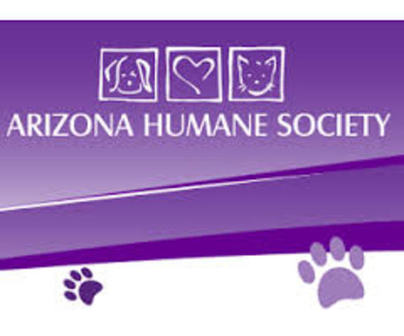 AHS doesn't make quite as much money as the year before