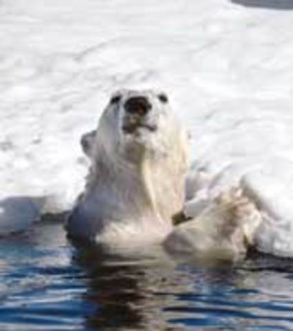 Arctic National Wildlife Refuge