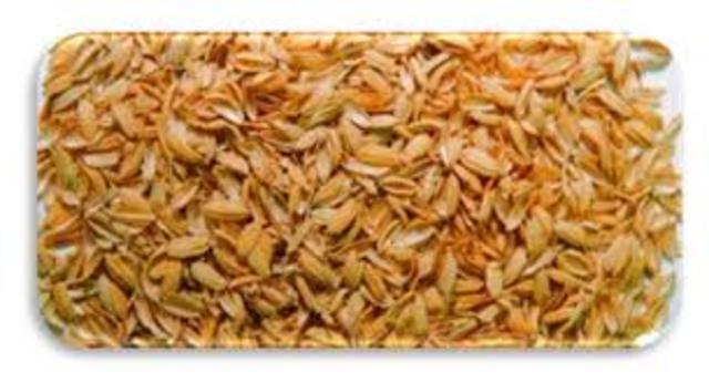 Vitaminas y nutrición.