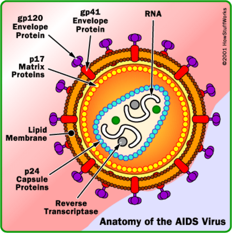HIV and AIDS
