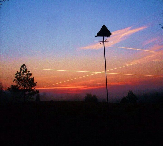 Noviembre de dos mil diez