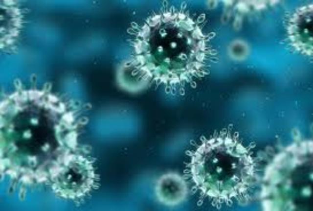 Teoria de los Germenes