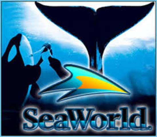 wen to sea world