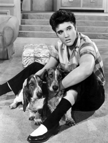 Elvis Presley "Hound Dog" released