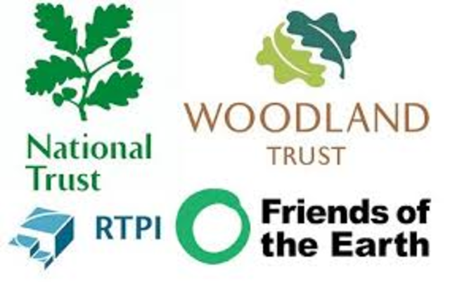 Husband and I Start an Environmental Charity