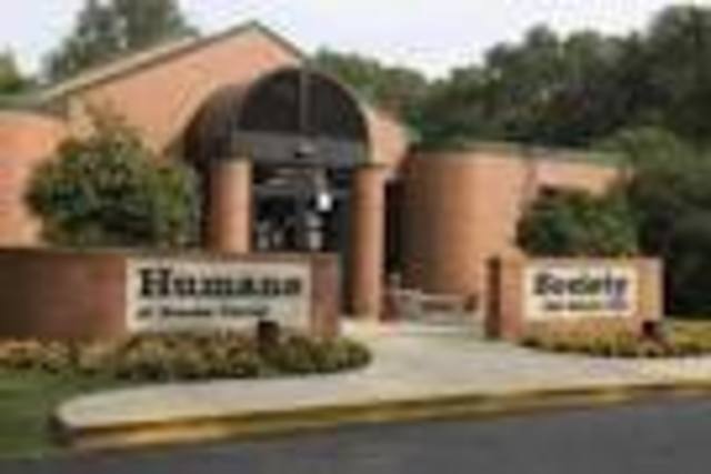 Build its first building