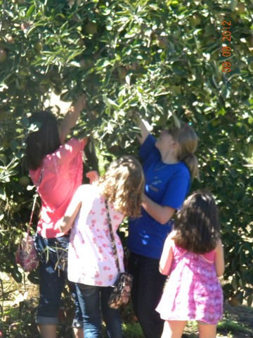 family trip to the apple barn