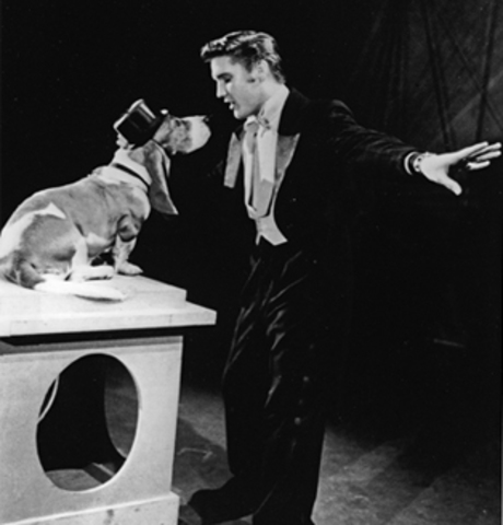 Elvis Presley released "Hound Dog"