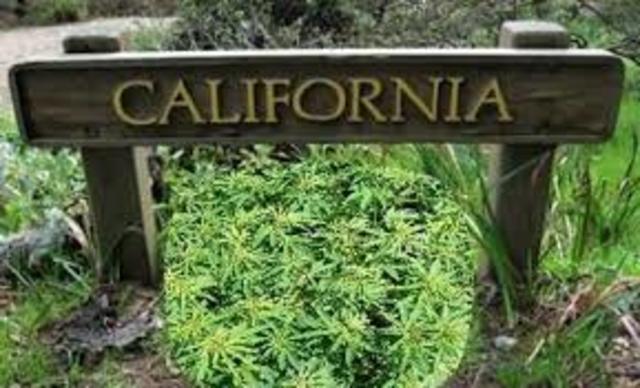 California legalizes medical use