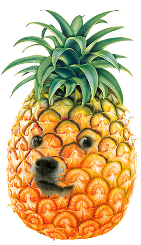 King Doge Pineapple is born