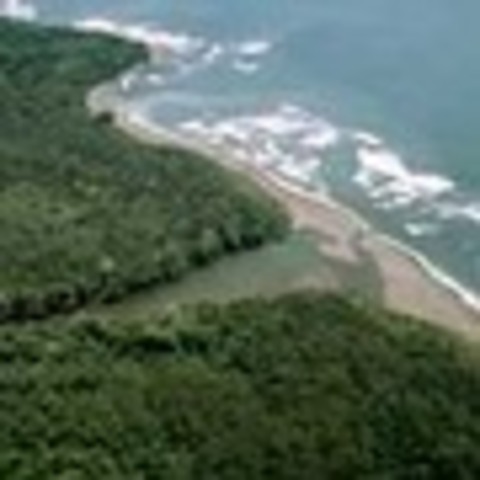 Corcovado National Park