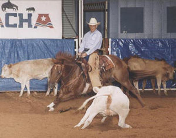 i have to work today