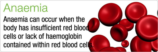 January 30 – Workers from the National Institutes of Health announce the success of clinical trials testing the first preventative treatment for sickle cell anaemia.