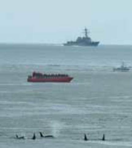 U.S. Navy’s use of Sonar